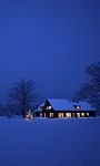 pic for Lonely House Winter Landscape And Christmas Tree 768x1280